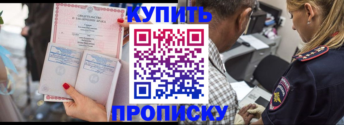 прописка законно в Кольчугино